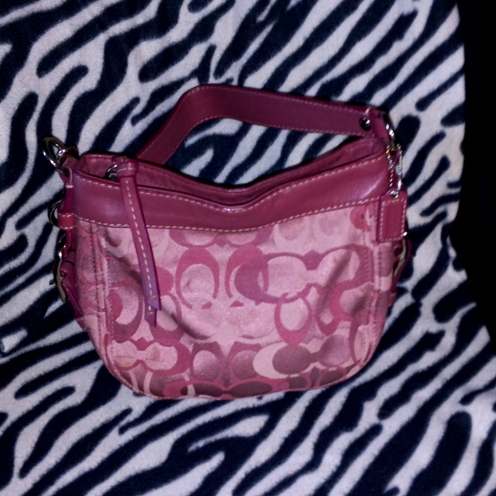 Mauve Coach mini